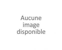 AUTRES Colle Bi-Composante RESIST BOIS Beige 10gr - SADER